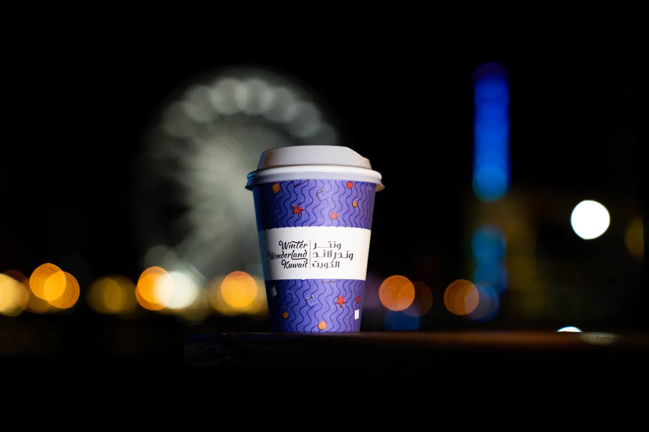 Winter Wonderland cover image