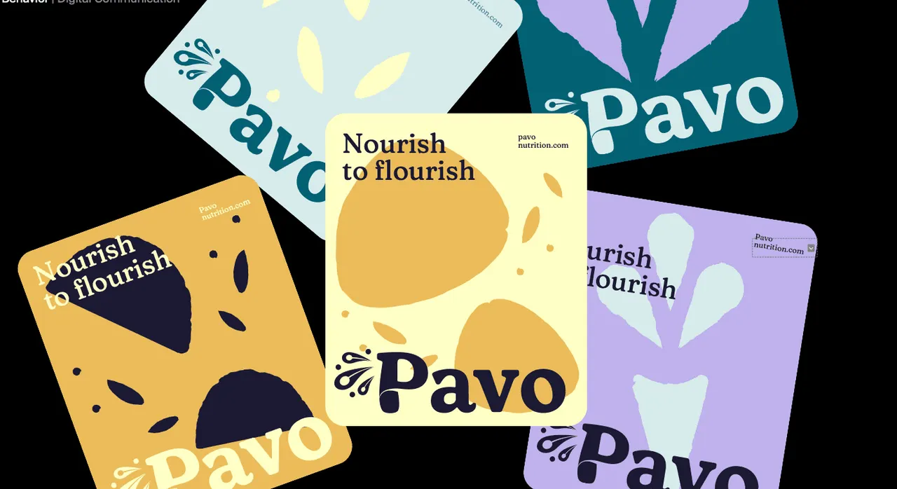 PAVO project image 2