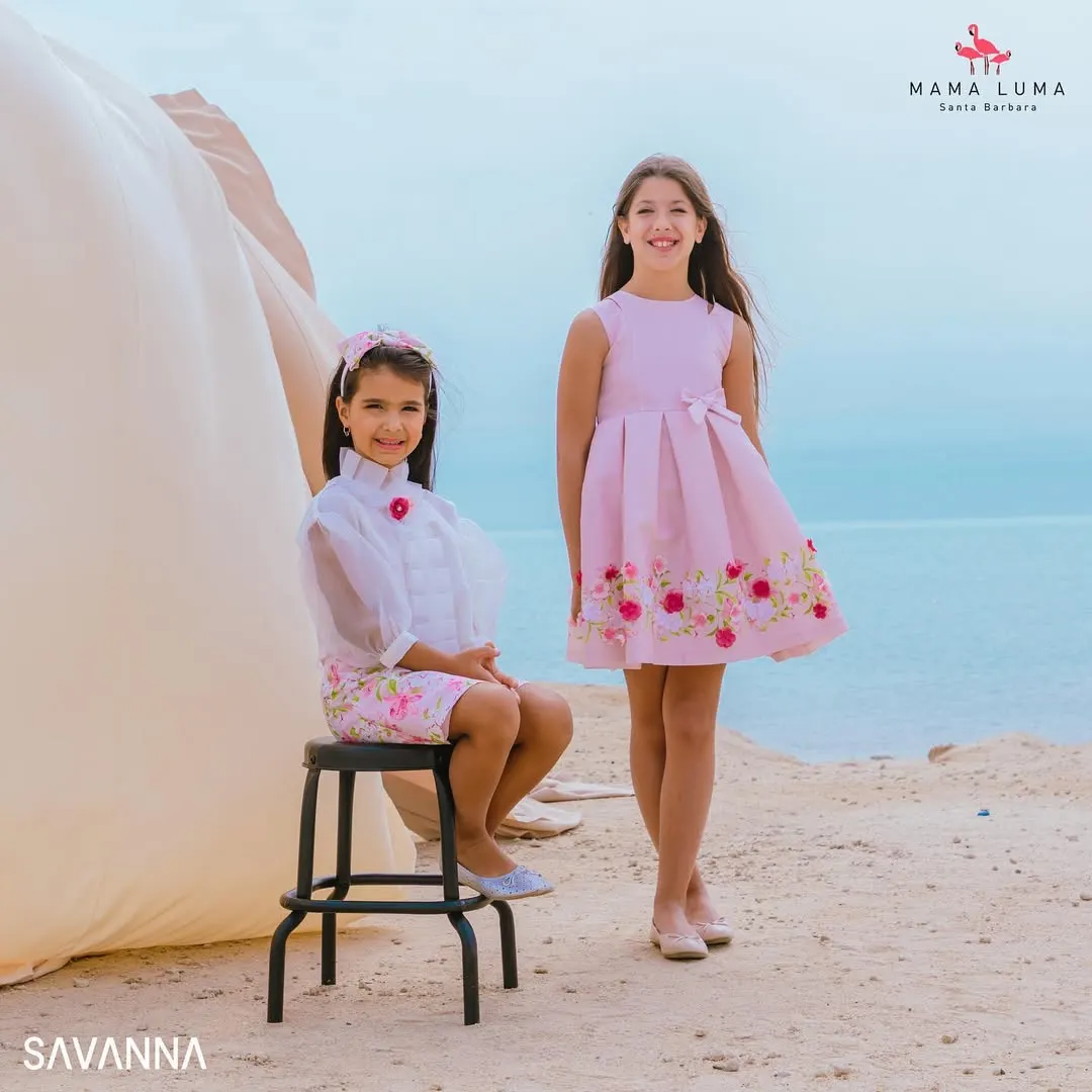 Savanna project image 4